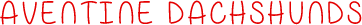 EMS Internet logo